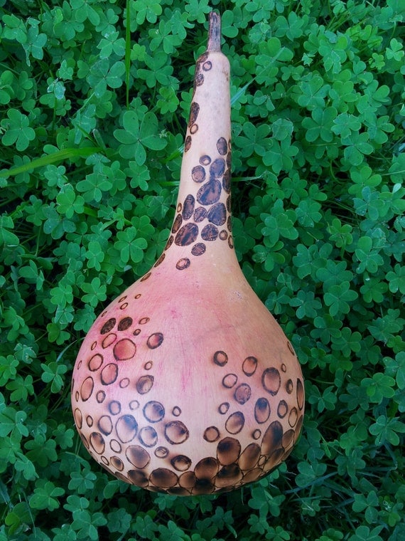 Handmade Gourd Rattle Shaker Seed Filled Percussion Musical