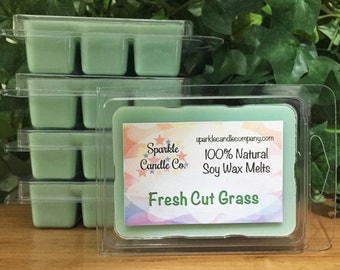 FRESH CUT GRASS Soy Wax Melts - Scented Wax Tarts - 1 Package - Clean Scent - Spring - Summer