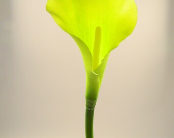 Real Touch Calla Lily in Green - 32" Tall