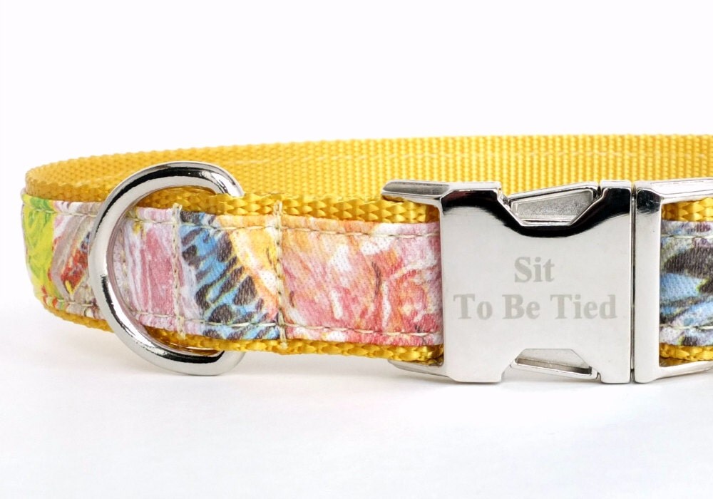 Pretty Girl Dog Collar Spring Girl Dog Collar Girly Dog