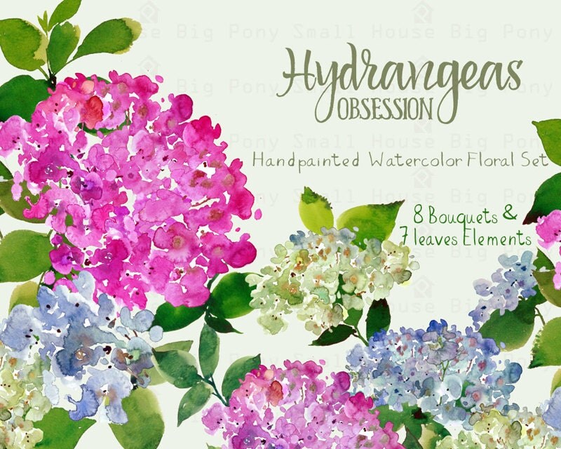 clip art hydrangea flower - photo #38