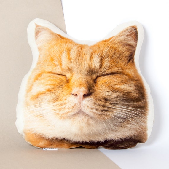 25 HQ Pictures Cat Head Pressing Sleeping / "Why Does My Cat Sleep on My Head?' Decoding Certain Cat ...