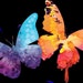 Sue Brown Butterfly Creations UK