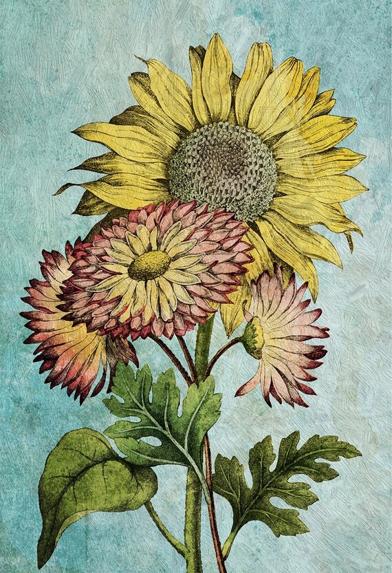 Sunflower decor sunflower art sunflower gift botanical print