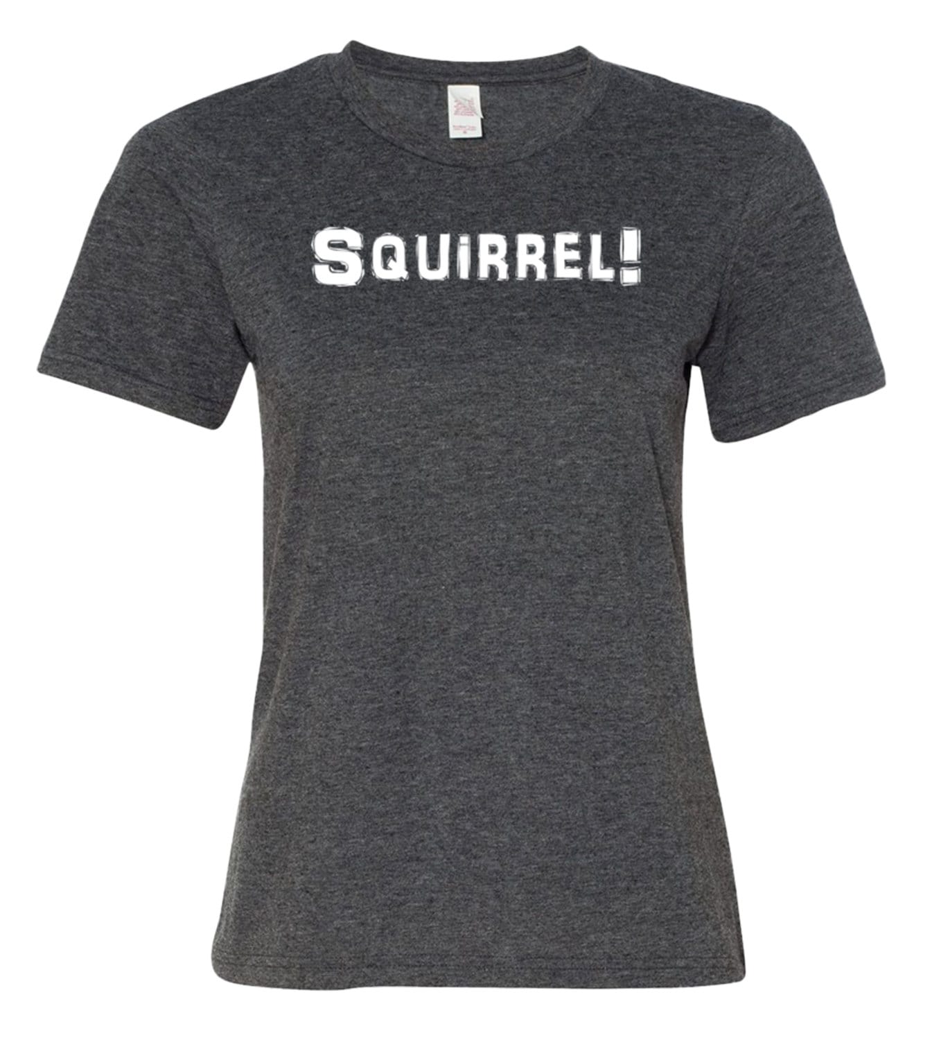 squirrel in shirt