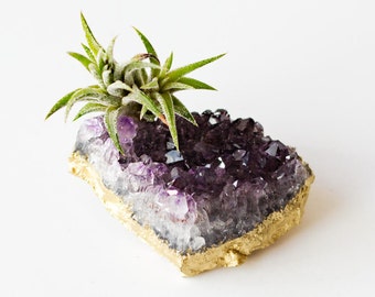 Amethyst Crystal Air Plant, Gold Desk Accessories, Boho Decor, Housewarming Gift, Air Plant Terrarium, Friend Gift Best Friend Birthday Gift