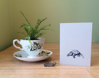 Turtle note card. Small note card for thank yous or any occasion. Turtle illustration with snapping turtle facts on the back.