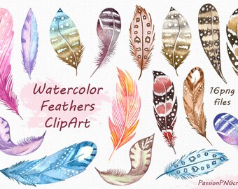 Watercolor Feathers Clipart, Feather clip art, Digital feathes, feather digital watercolor png, for Personal and Commercial Use