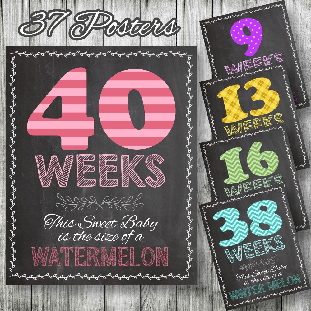 Weekly Pregnancy Posters 37 Patterned Posters Included