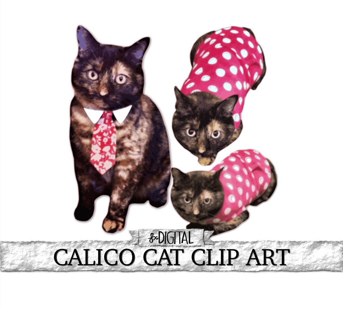calico cat clip art free - photo #23