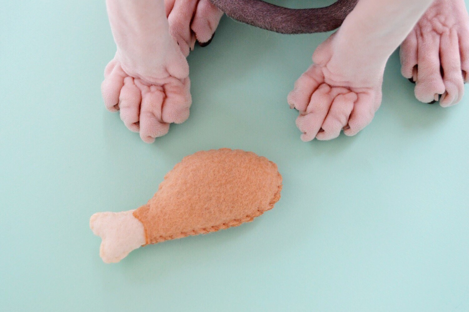 Catnip Turkey Drumstick Cat Toy Turkey Leg Cat Toy