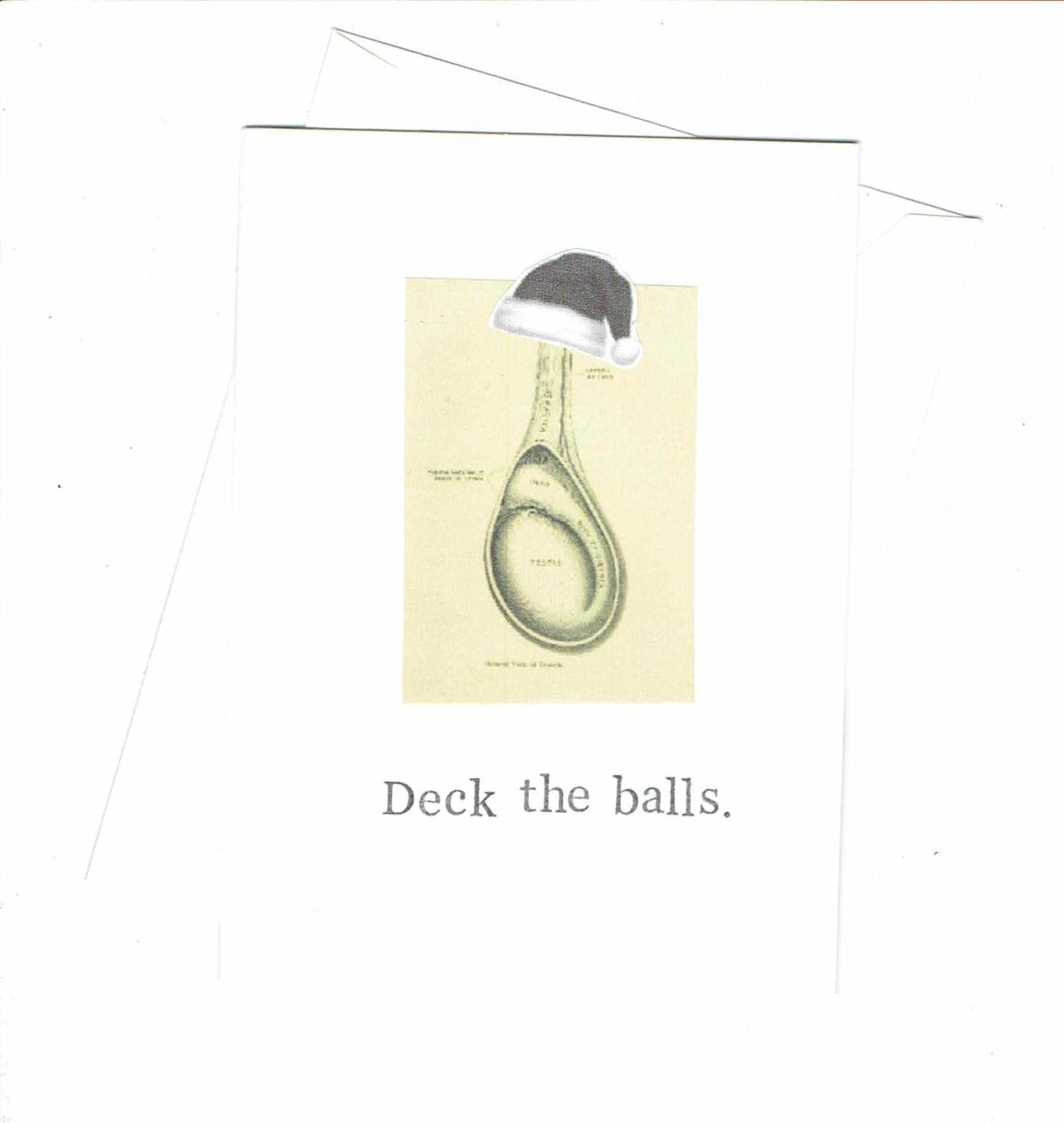 Deck The Balls Anatomy Christmas Card Funny Medical Humor