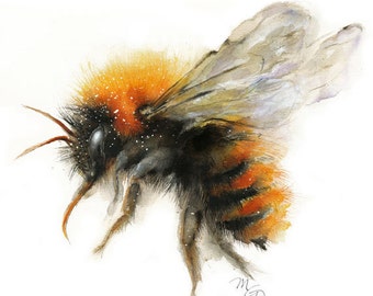Bee watercolor painting - Bumble Bee Giclee Print. Nature Illustration. Honey Bee, Flying bee, Lovely Bee art