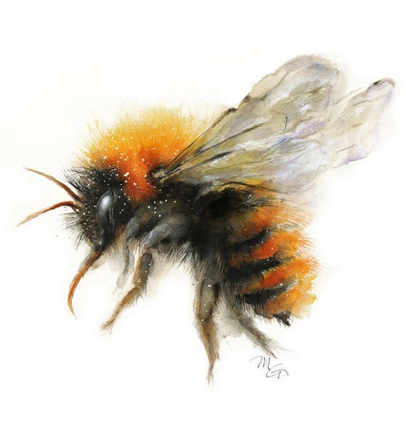 bee bumble painting watercolor nature