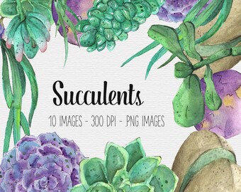 Watercolor Cactus and Succulent Clipart Commercial Use