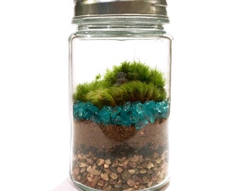 Adopt-a-Robot // Moss Terrarium