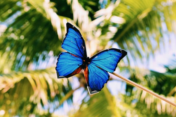 Blue Leather Butterfly Brooch | Perfect for a Bride and/or bridesmaids