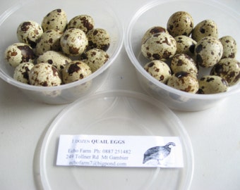 QUAIL EGGS FRESH for cooking or hatching 2 dozen express posted to you within Australia