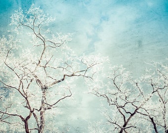 Canvas Art, Tree Photograph, Modern Art, Winter Landscape, Dramatic Art Print, Contemporary, Hoar Frost, Aqua Wall Decor, Snowy Photo