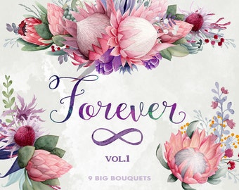 Flower bouquets clipart, Forever, King Protea, Gumtree blossoms, watercolor flower clipart, floral clipart, Wedding flowers, boho flowers
