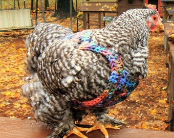 Earth tones Chicken sweater, Chicken sweaters, hen saddles, battery hen jumper