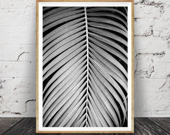 Palm Leaf Print, Plant Photo, Black and White Wall Art, Large Tropical Home Decor Poster, Modern Minimal, Digital Download