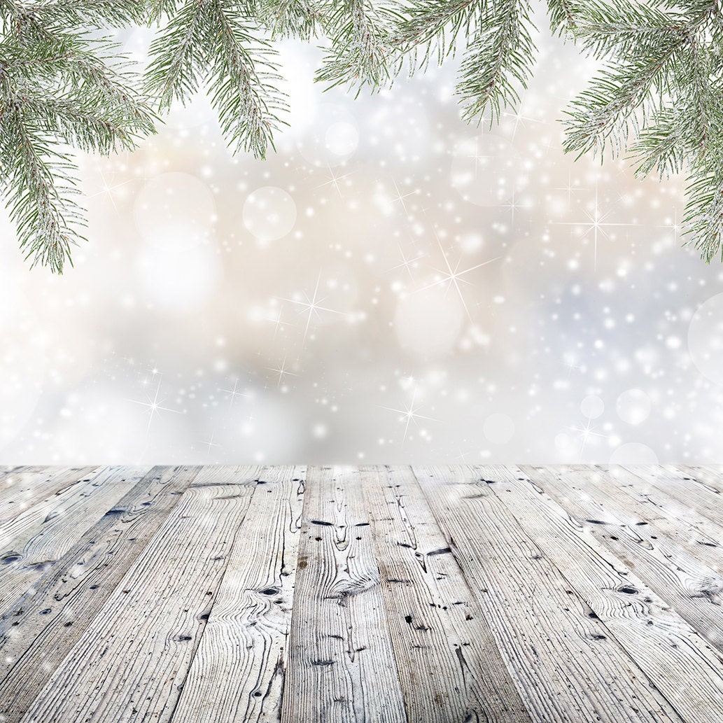 Christmas Backdrop-falling snow scene bokeh winter sparkle