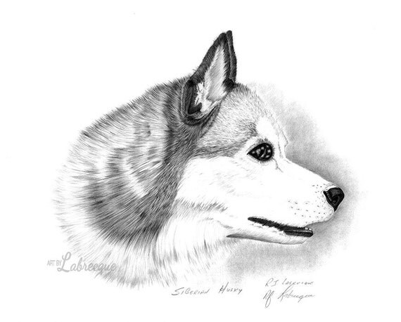 Items similar to Siberian Husky portrait, dog print, dog ...