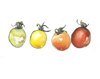Art PRINT of an original watercolour and ink illustration, 'Tomatoes', original drawing, fruit, food, kitchen print, harvest,