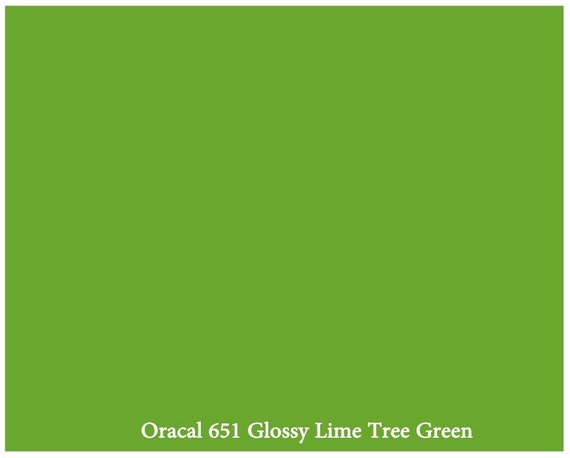 1 Roll Lime Tree Green Oracal 651 12 x 10 ft 120 by vinylnsticker