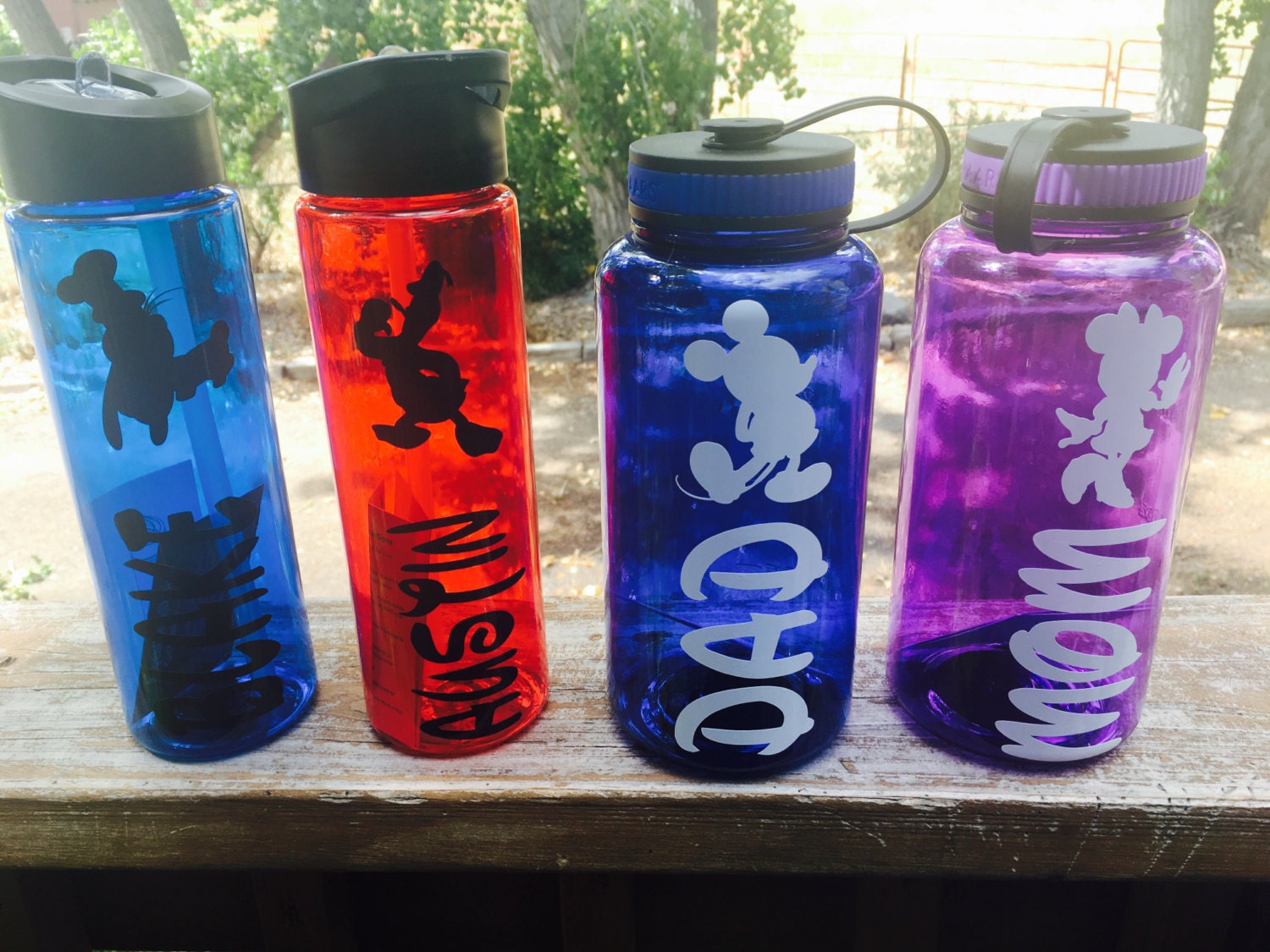 disney animators water bottle