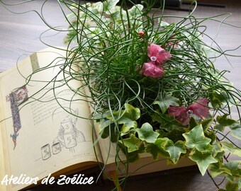 Ring bearer wedding book
