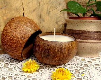 Big coconut shell candle. Palm wax candle. Tropical candle. Container candle. Handmade candle. Vegan candle. Organic candle. White candle.
