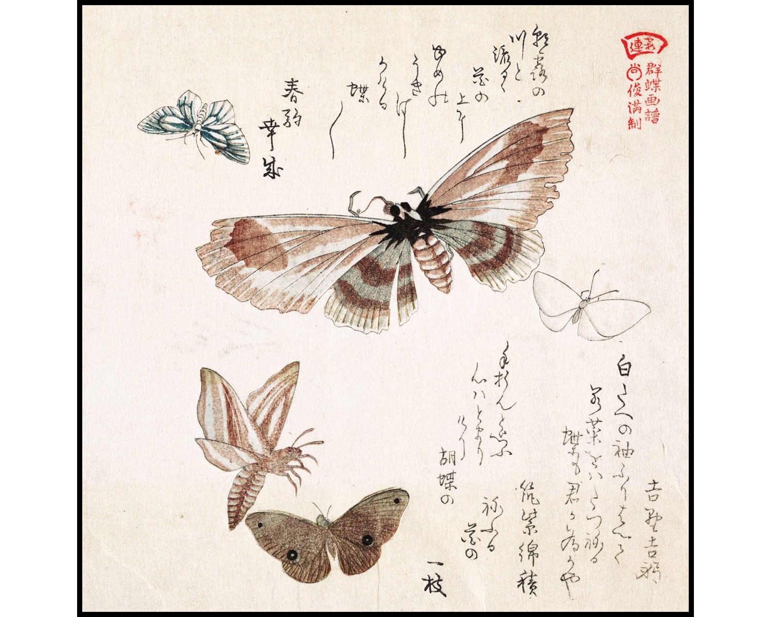 Butterflies Wall Decor Japanese Wall Art Butterfly Print