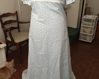 Edwardian Era Tea Gown