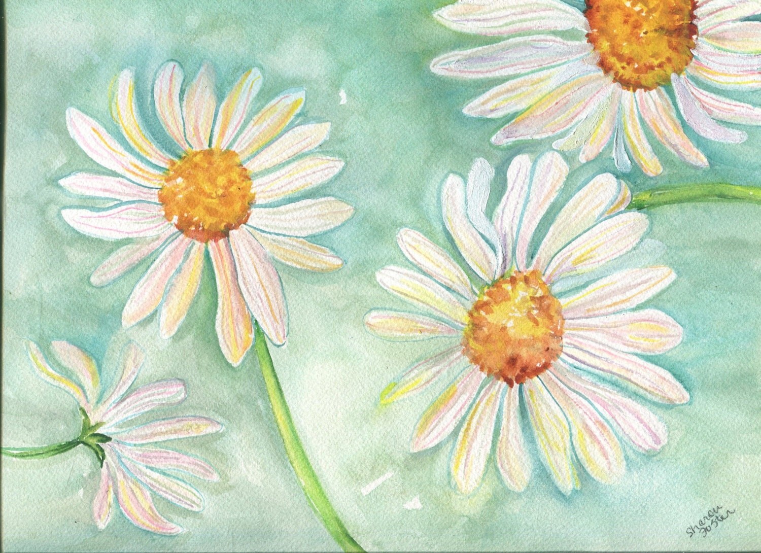Shasta Daisies Watercolors Paintings original by SharonFosterArt