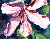 Pink Hibiscus Painting, Original Watercolor Painting, Kauai Hibiscus, Tropical Flower Art, tropical wall art, Hawaiian interior decor Pink Hibiscus Painting, Original Watercolor Painting, Kauai Hibiscus, Tropical Flower Art, tropical wall art, Hawaiian interior decor