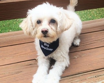 Big Brother Dog Bandana Sizes S to XL Choice of Fabric in Dog Collar Style