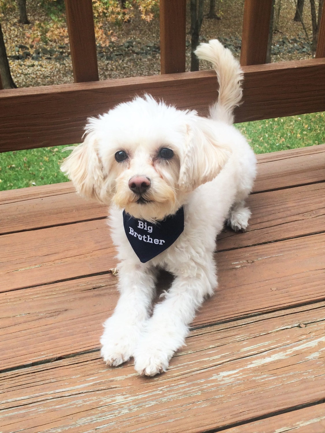 Big Brother Dog Bandana Sizes S to XL Choice of Fabric in Dog