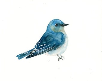 Bluebird watercolor | Etsy