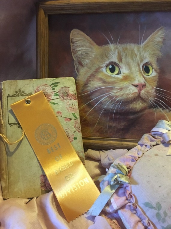 Vintage CFA CAT Show Ribbon Rosette Award Best of Breed Orange