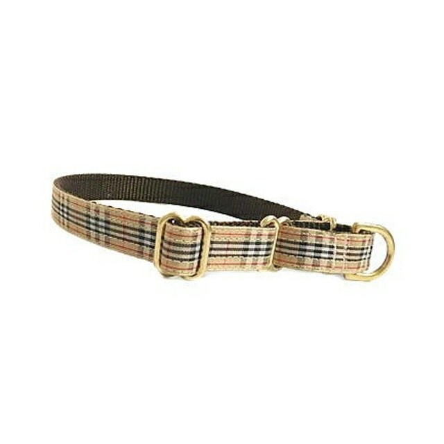 MuttsnBones Unique Dog Collars Leashes and More by MuttsnBones