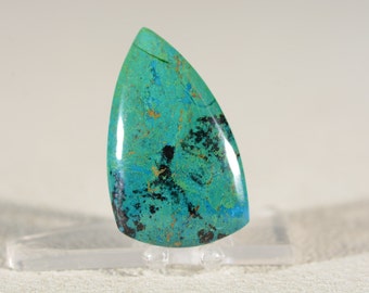 Parrot Wing Chrysocolla Cabochon. Handcrafted USA. Natural Gemstone.