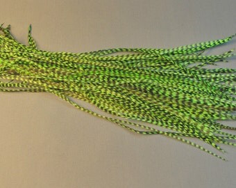 100 - 7 Inch Metz Grizzly Rooster Feathers - Dyed Fl. Green