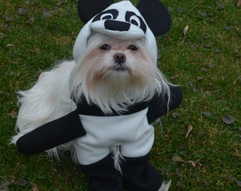 Adorable Panda Dog Costume for small breed dogs
