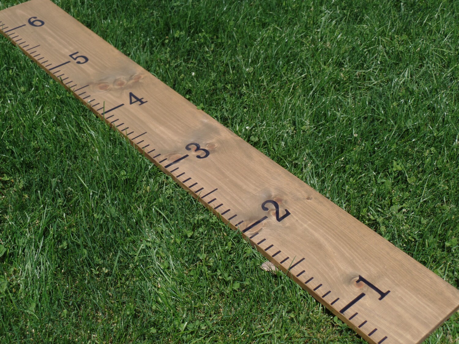 Giant Child's Measuring Stick Growth Ruler Wood Growth