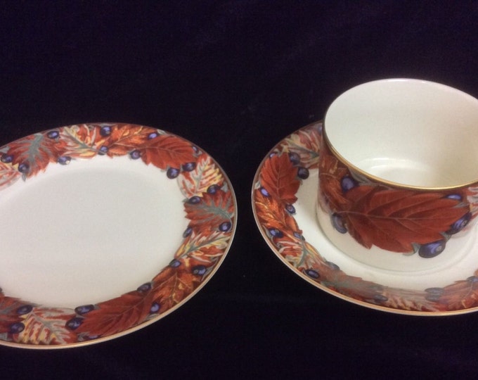 Mikasa Fine China Cup and Saucer Plus A Dessert Plate Mystic Fruit LL208 Discontinued Mikasa Pattern