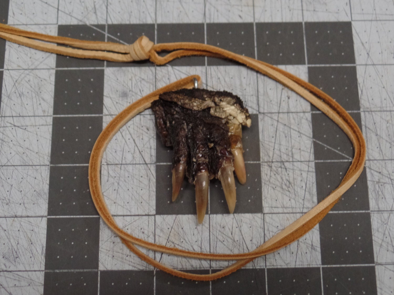 Snapping Turtle Foot Necklace