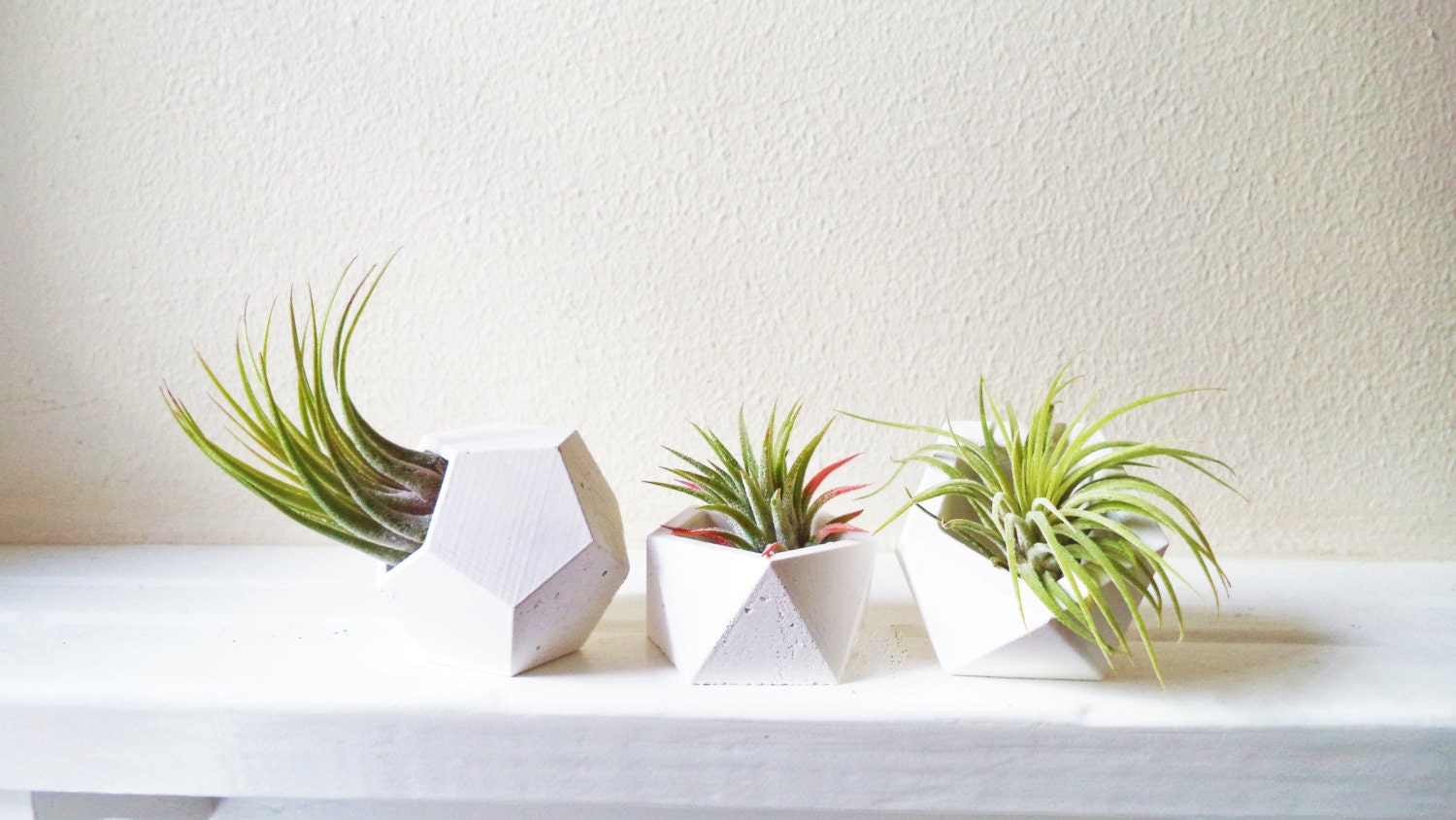 Geometric mini planters small air plant holder set modern