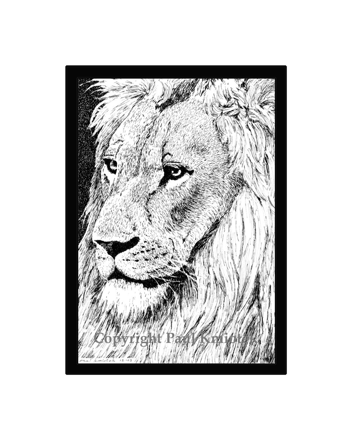 Lion Pen and Ink Print